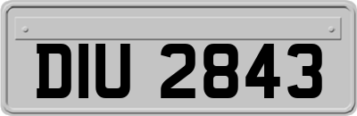 DIU2843