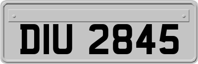 DIU2845