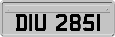 DIU2851