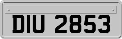 DIU2853