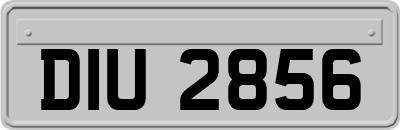 DIU2856