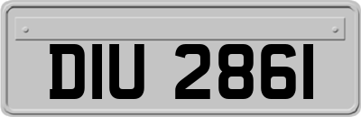 DIU2861