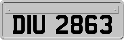 DIU2863