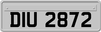 DIU2872