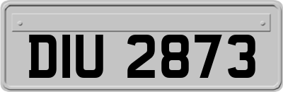 DIU2873