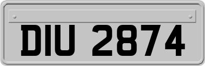 DIU2874