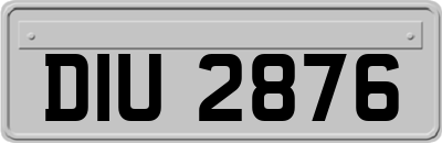 DIU2876