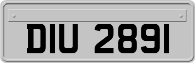 DIU2891
