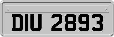 DIU2893