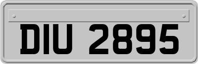 DIU2895