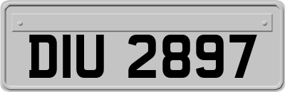 DIU2897