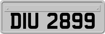 DIU2899