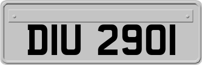 DIU2901
