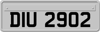 DIU2902