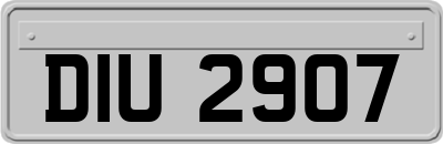 DIU2907
