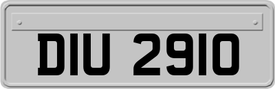 DIU2910