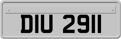 DIU2911