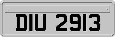 DIU2913