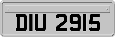 DIU2915