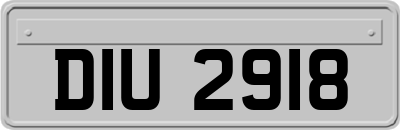 DIU2918
