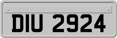 DIU2924