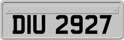 DIU2927
