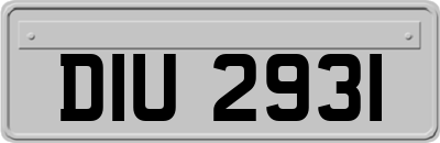 DIU2931