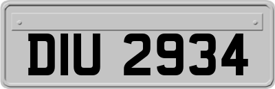 DIU2934