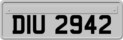 DIU2942