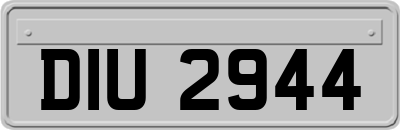 DIU2944