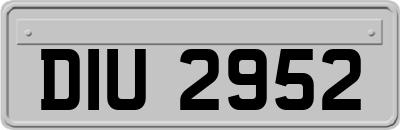 DIU2952