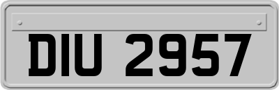 DIU2957
