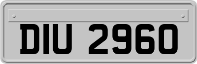 DIU2960