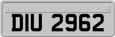 DIU2962