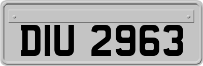 DIU2963