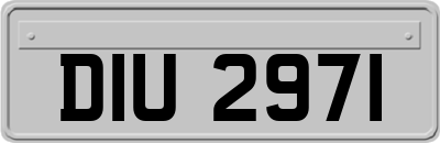 DIU2971