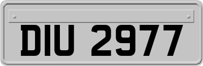 DIU2977