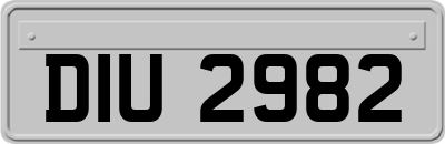 DIU2982
