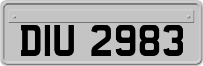 DIU2983