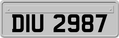 DIU2987