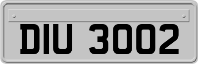 DIU3002