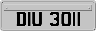 DIU3011