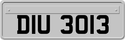 DIU3013