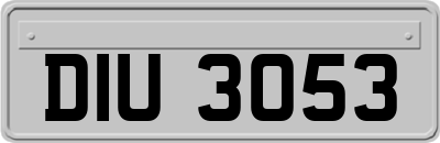 DIU3053