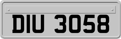 DIU3058