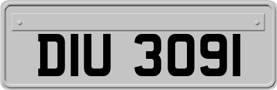 DIU3091