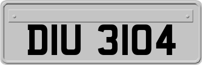 DIU3104