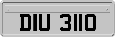 DIU3110
