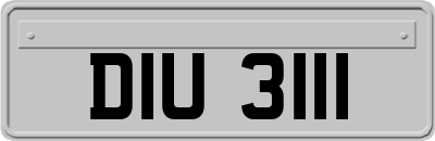 DIU3111