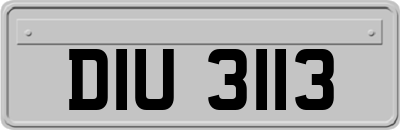 DIU3113